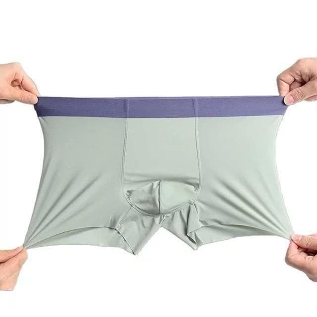 Men's Ice Silk Briefs Boxers (Pack of 5) - Bharat Bazaar